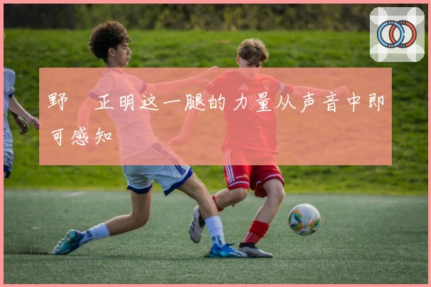 野杁正明这一腿的力量从声音中即可感知