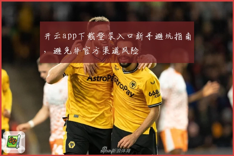 开云app下载登录入口新手避坑指南，避免非官方渠道风险