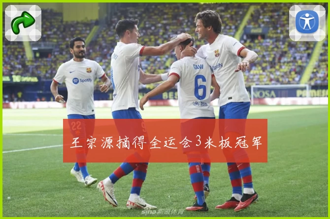 王宗源摘得全运会3米板冠军