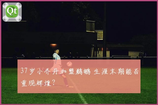 37岁小乔丹加盟鹈鹕 生涯末期能否重现辉煌？