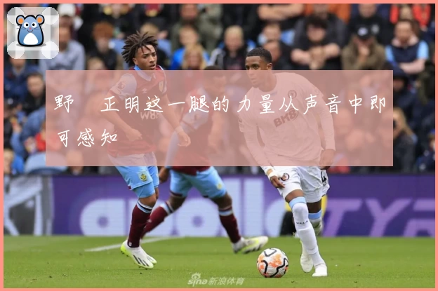 野杁正明这一腿的力量从声音中即可感知
