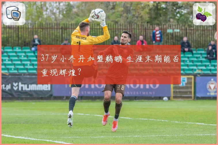 37岁小乔丹加盟鹈鹕 生涯末期能否重现辉煌？