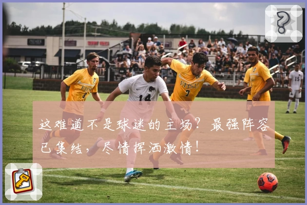 这难道不是球迷的主场?最强阵容已集结,尽情挥洒激情!