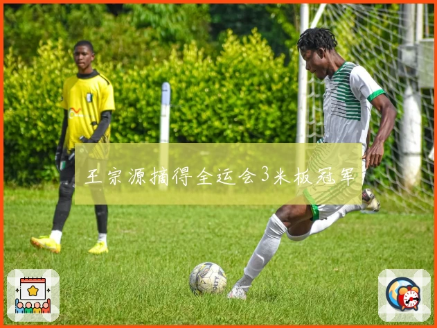 王宗源摘得全运会3米板冠军