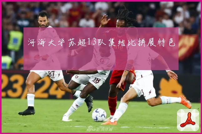河海大学苏超13队集结比拼展特色